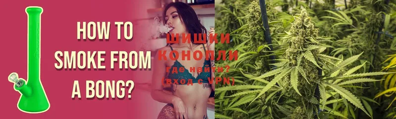 где продают наркотики  Малая Вишера  Шишки марихуана SATIVA & INDICA 